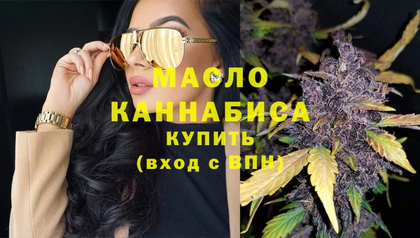 индика Армянск