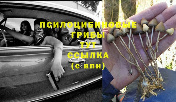 молекула духа Арсеньев