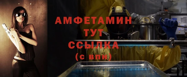 молекула духа Арсеньев