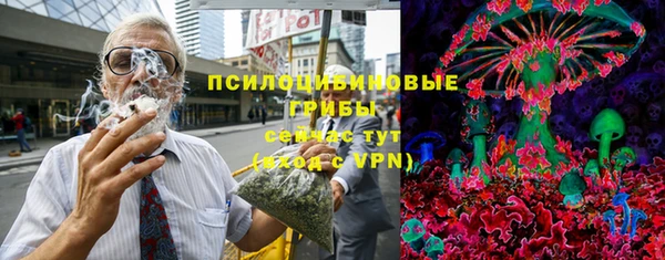молекула духа Арсеньев