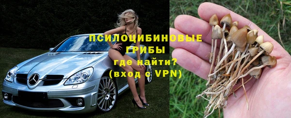 молекула духа Арсеньев