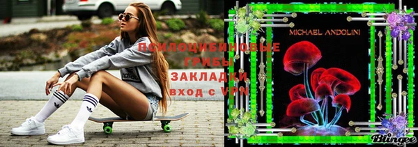 молекула духа Арсеньев