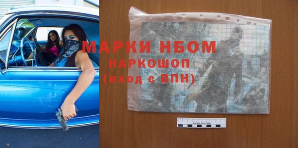 молекула духа Арсеньев