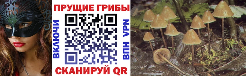 Псилоцибиновые грибы мицелий  MEGA   Ядрин 